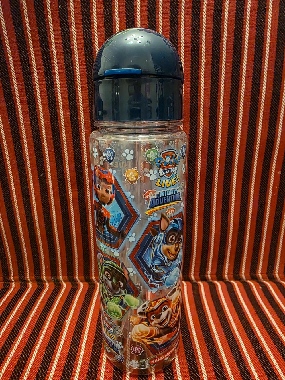 Paw Patrol Live Water Bottle